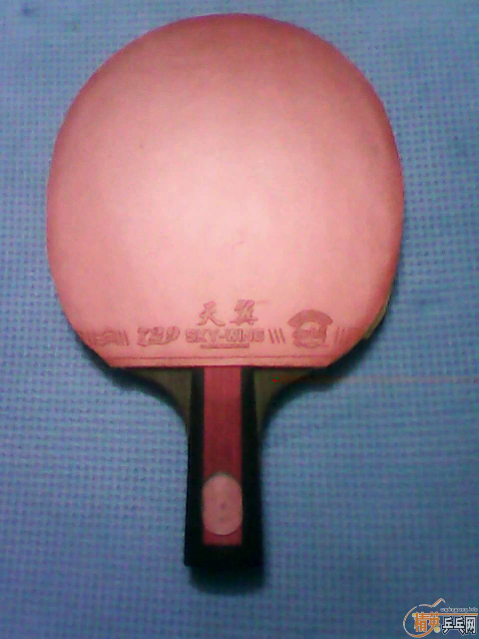 �����¿����ṹDIYֱ�������