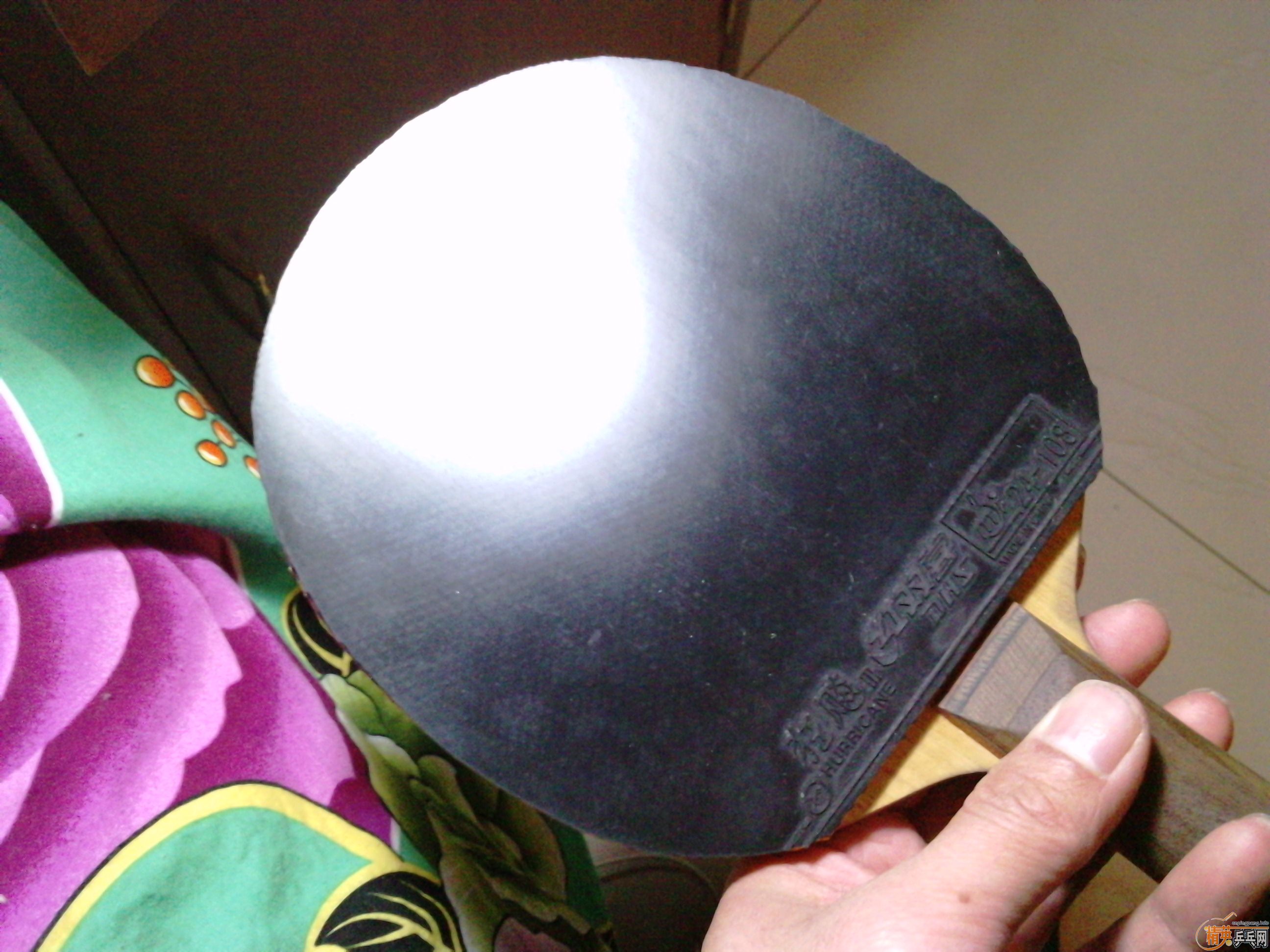 �����񣬼Ӿ��¿���38�ȣ�600Ԫ�����������������