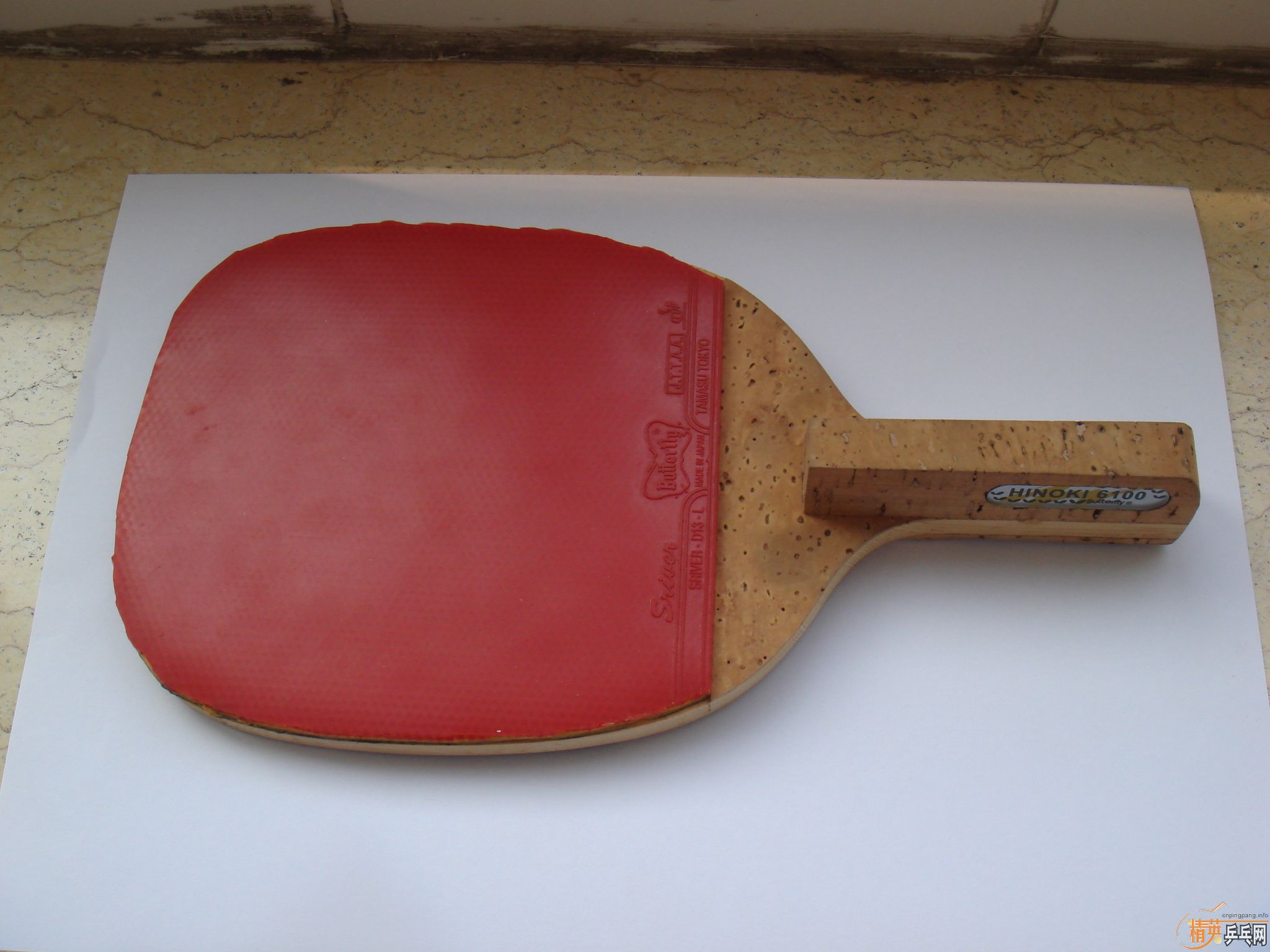 ���ղغ�����������800Ԫ