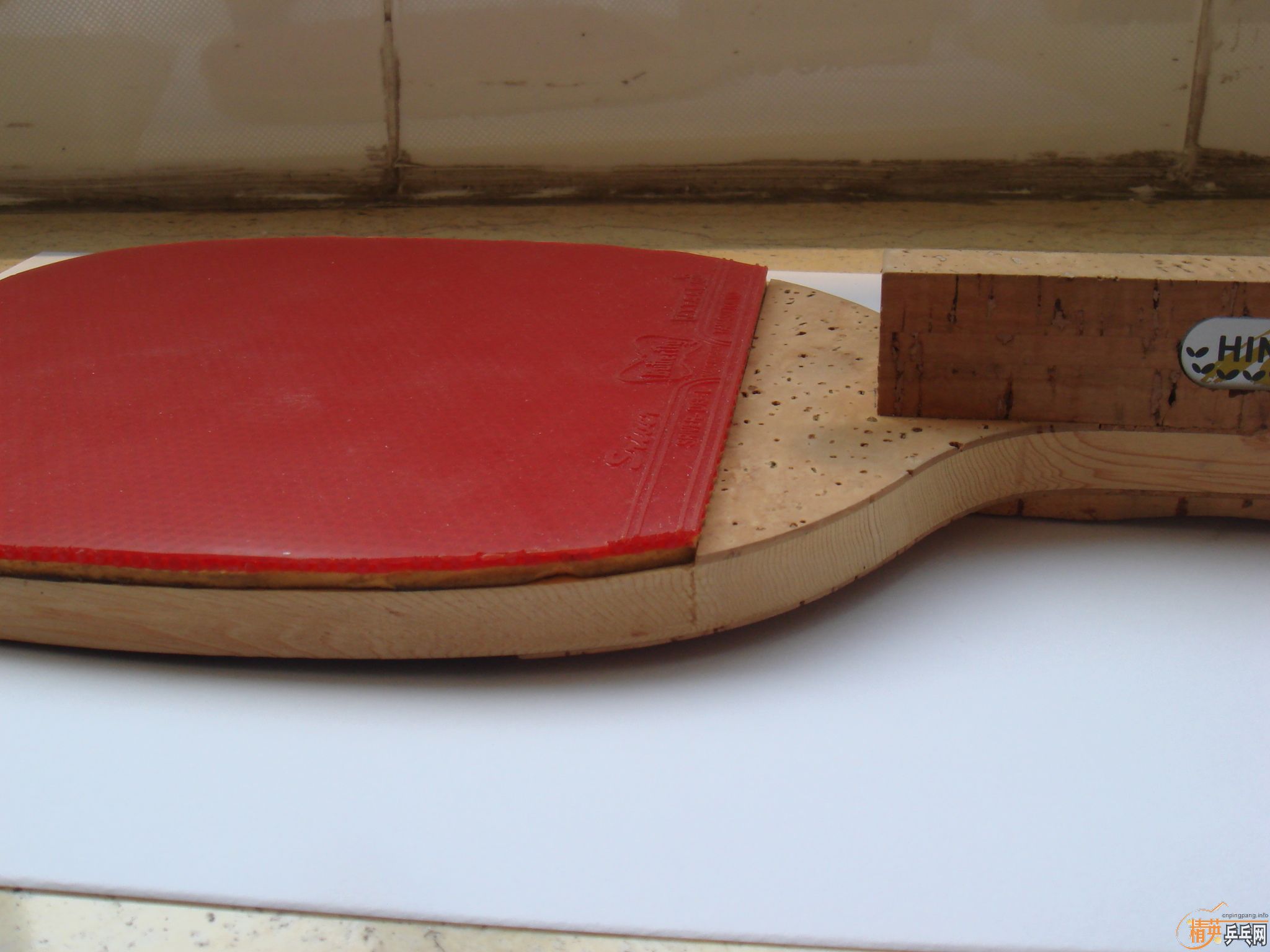 ���ղغ�����������800Ԫ