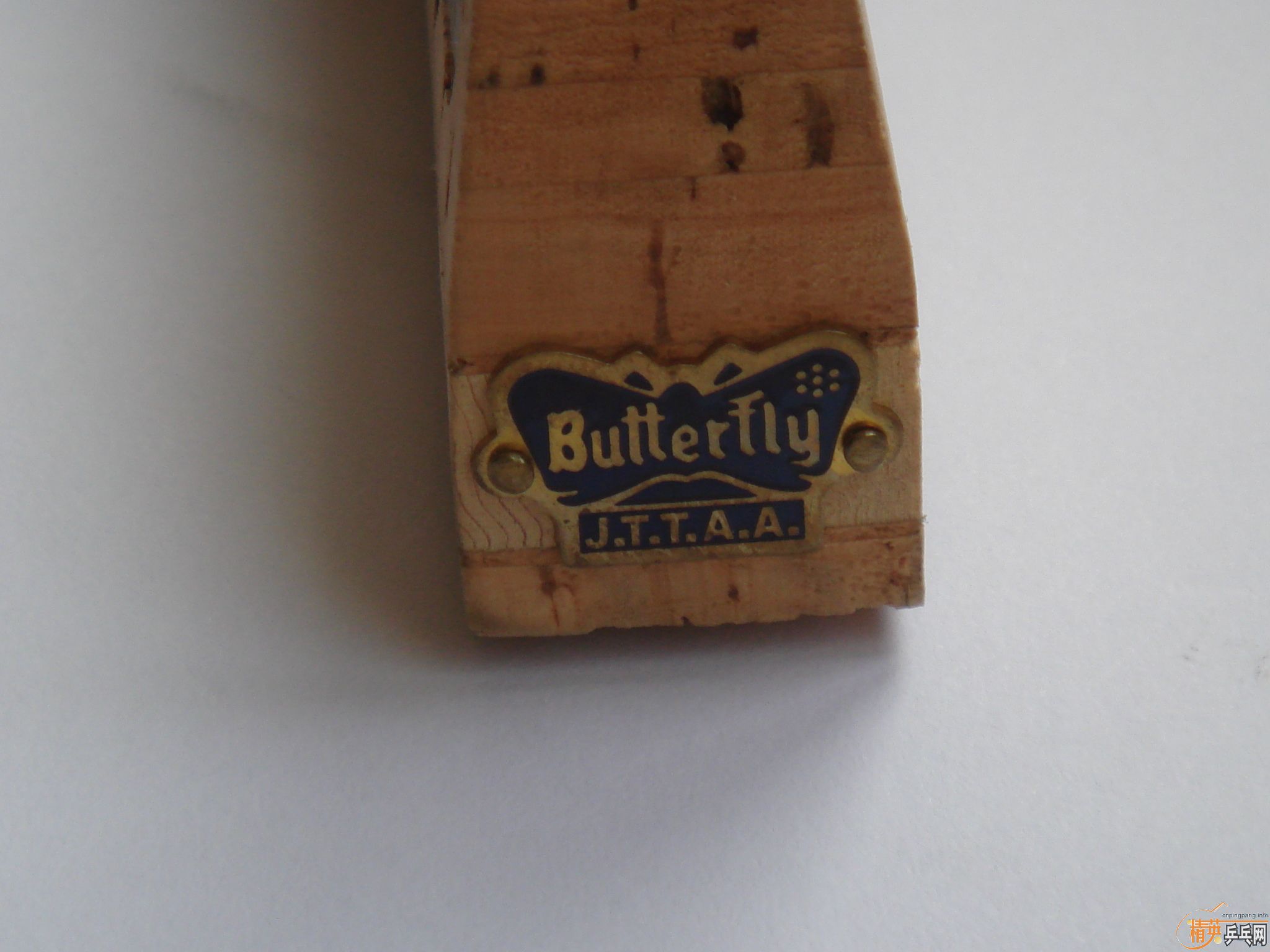 ���ղغ�����������800Ԫ