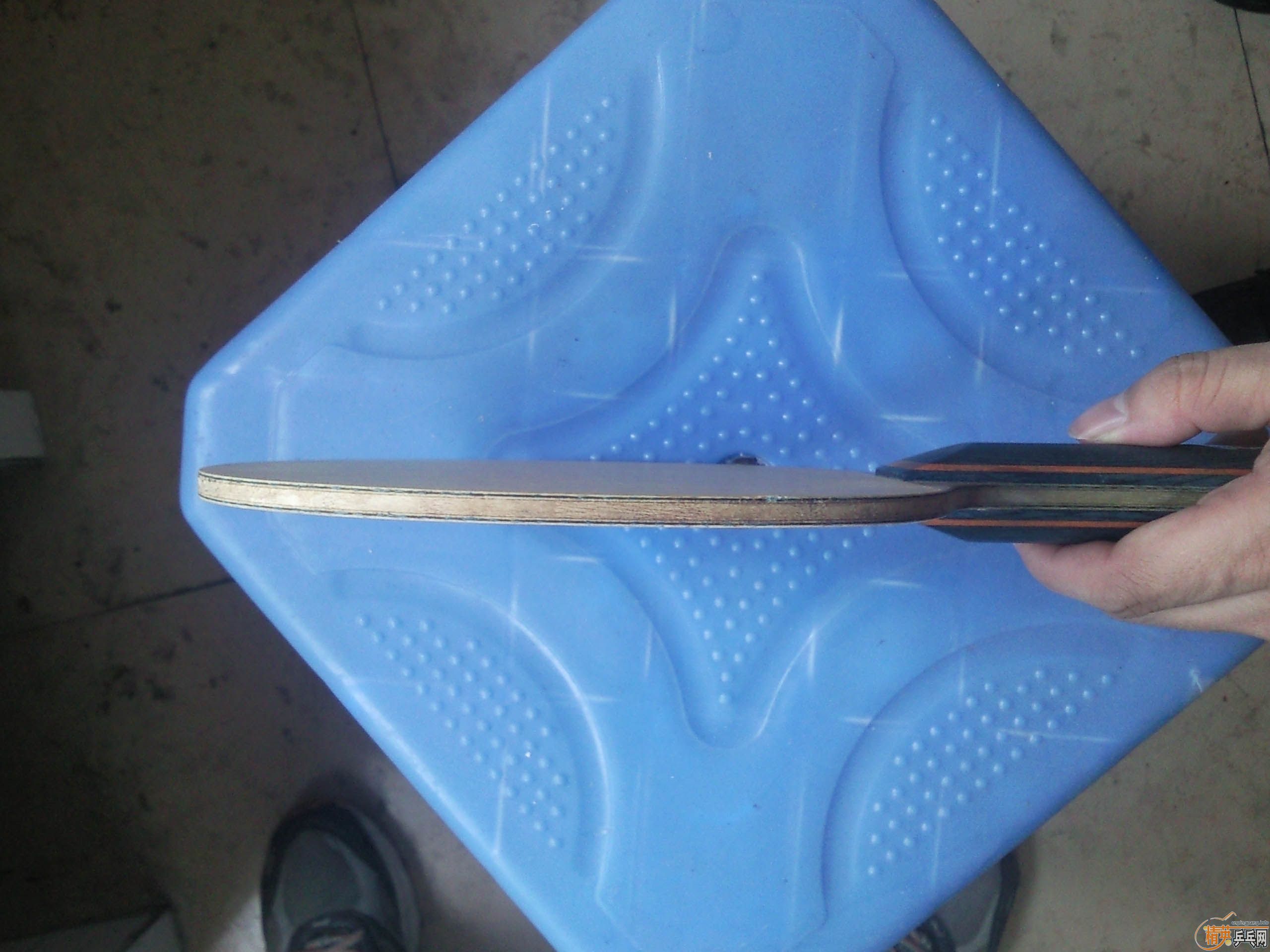 [�ѳ�]����������TBS��FL-->qupiterת��