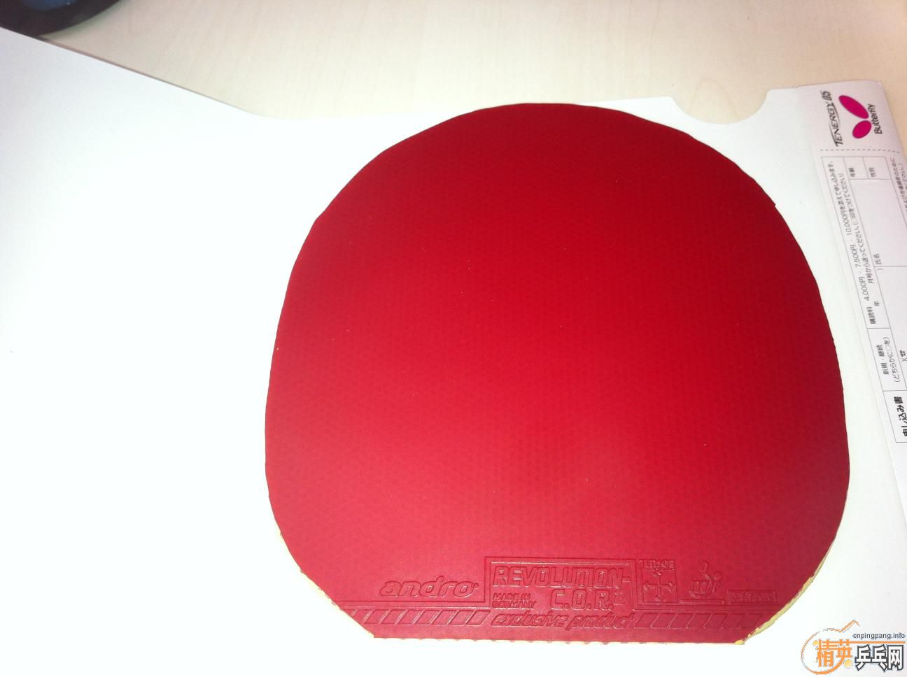 ���Ÿ��ӣ����¿��������Ÿ��ӣ����¿��������ײ˼۳�������ý�Ƥ����Ԫ���£��뿴�������ײ˼۳�������ý�Ƥ����Ԫ���£��뿴����ͺͳߴ硣ȫ�Ǻ�ɫ������