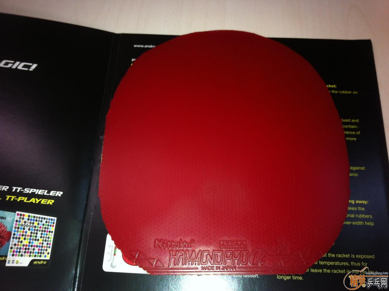 ���Ÿ��ӣ����¿��������Ÿ��ӣ����¿��������ײ˼۳�������ý�Ƥ����Ԫ���£��뿴�������ײ˼۳�������ý�Ƥ����Ԫ���£��뿴����ͺͳߴ硣ȫ�Ǻ�ɫ������