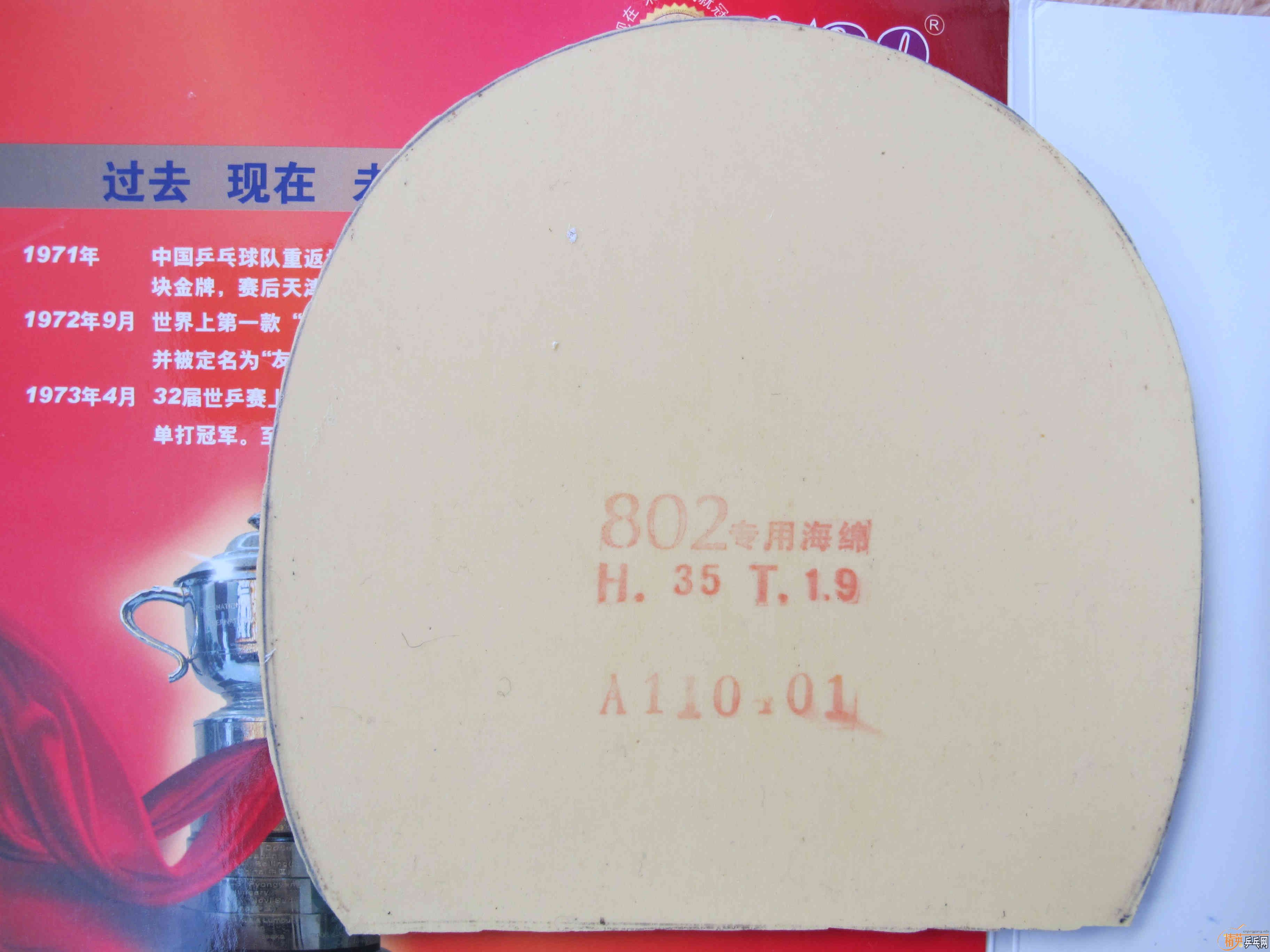 �����׽������