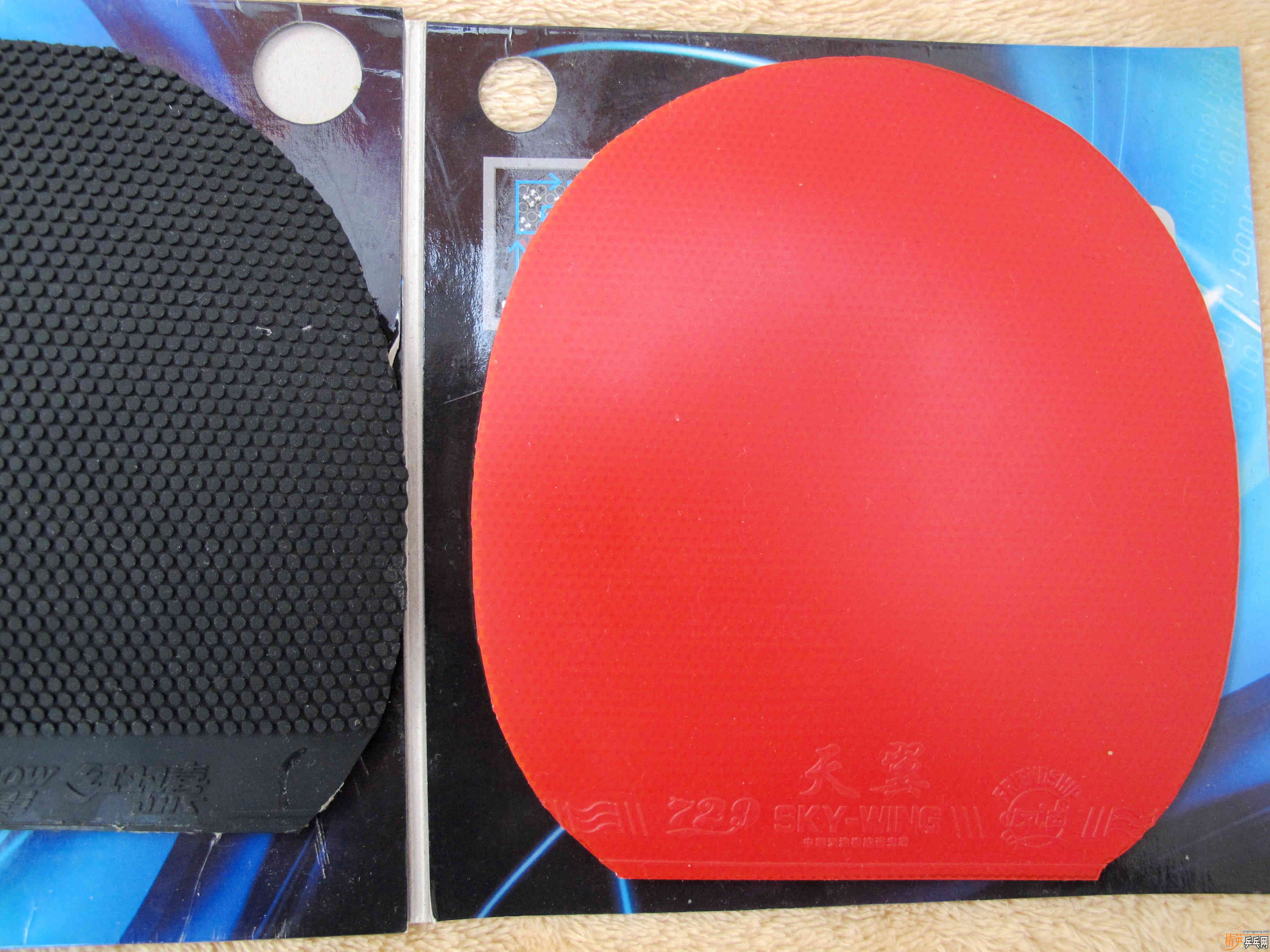 �����׽������