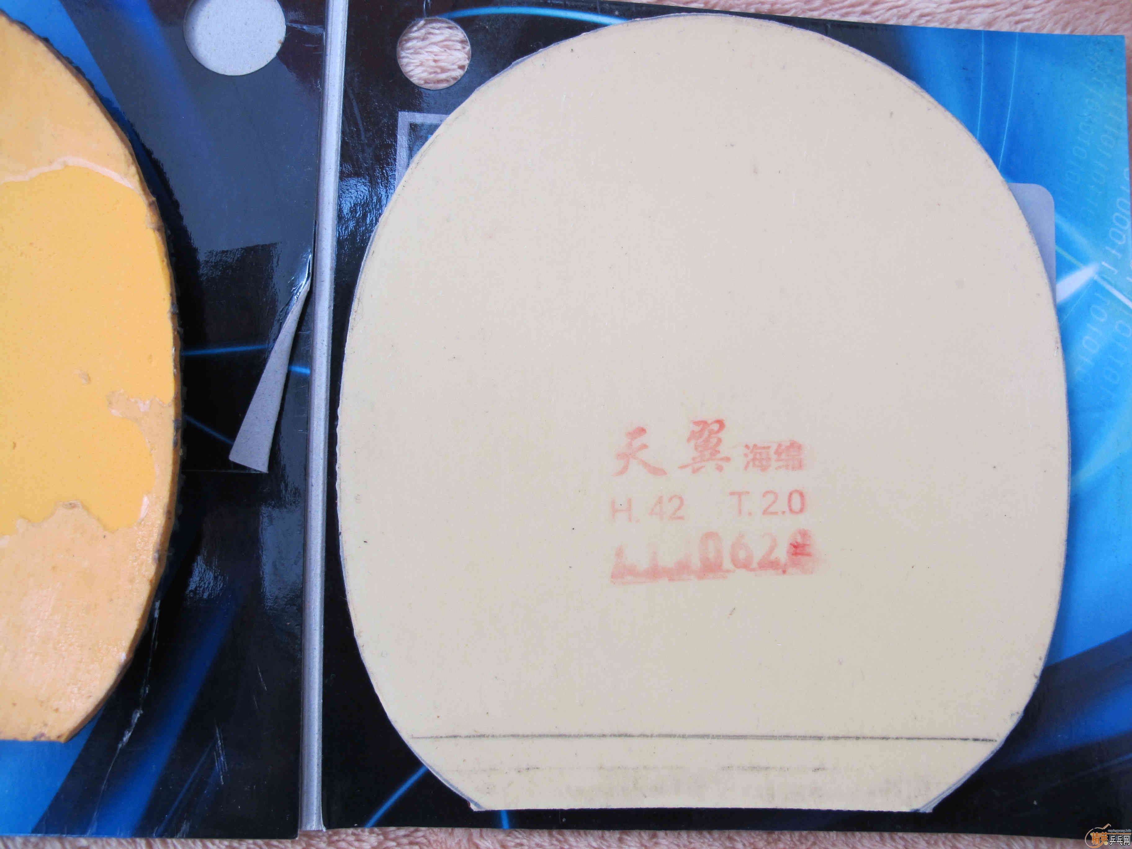 �����׽������