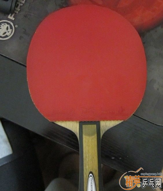 ������ SRIVER ELһ�� 80 ���� ֧�������ף�