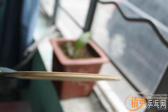 [ԭ��]��������� ���ɵ�-X  ������������