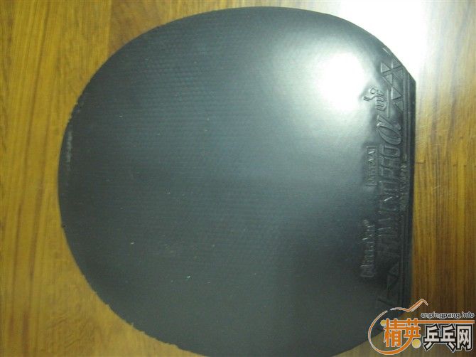 340��һ�����ģ�DONIC��ǡ����ʡ��3��NITTAKU HAMMONGD������