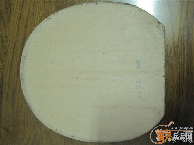 340��һ�����ģ�DONIC��ǡ����ʡ��3��NITTAKU HAMMONGD������