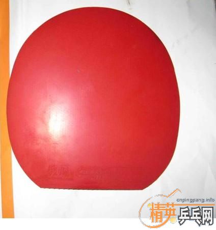 340��һ�����ģ�DONIC��ǡ����ʡ��3��NITTAKU HAMMONGD������