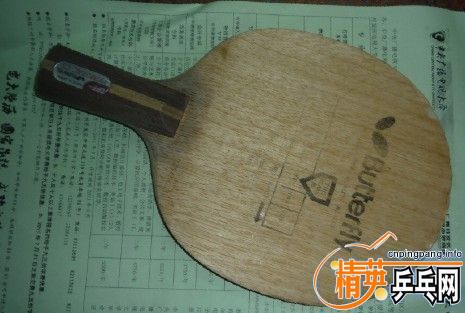 ѧϰ֧�������ģ������ֲ������������͡�������ľ�������Ҳ�������˳�