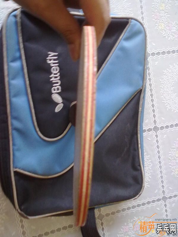 ѧϰ֧�������ģ������ֲ������������͡�������ľ�������Ҳ�������˳�