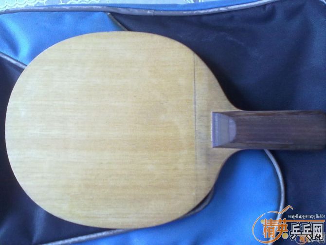 ѧϰ֧�������ģ������ֲ������������͡�������ľ�������Ҳ�������˳�