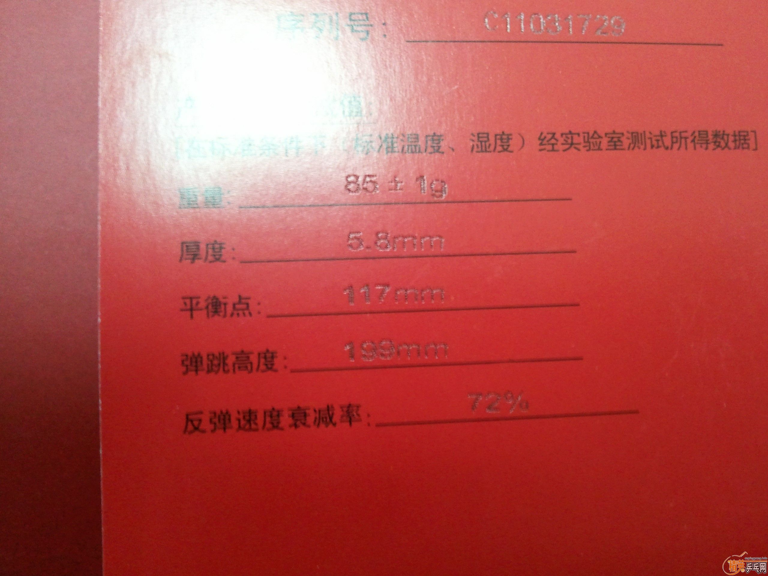 ��9.8��ֱ������