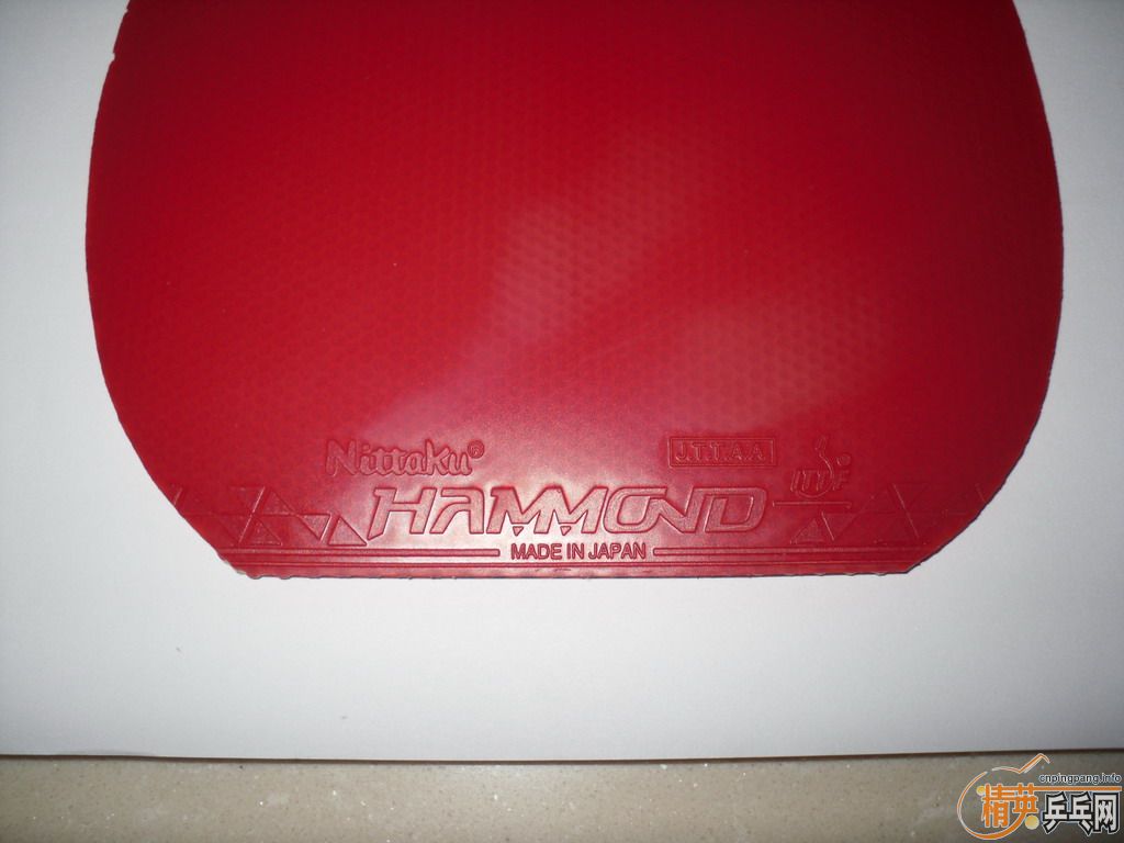 ���ѳ�������