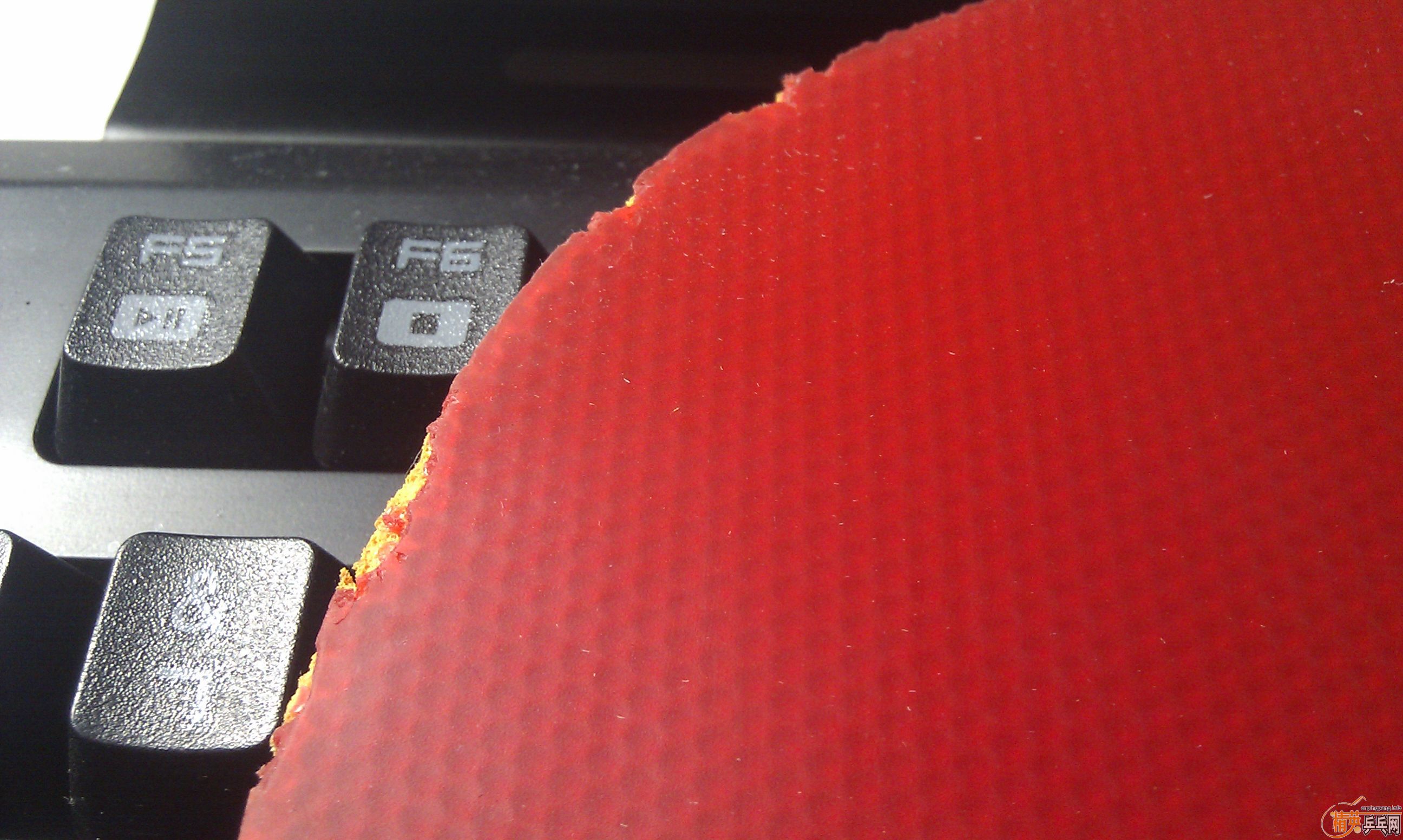 �����ۡ���Ƥ���ɣ�������flextra��JO�ȣ���֧����������