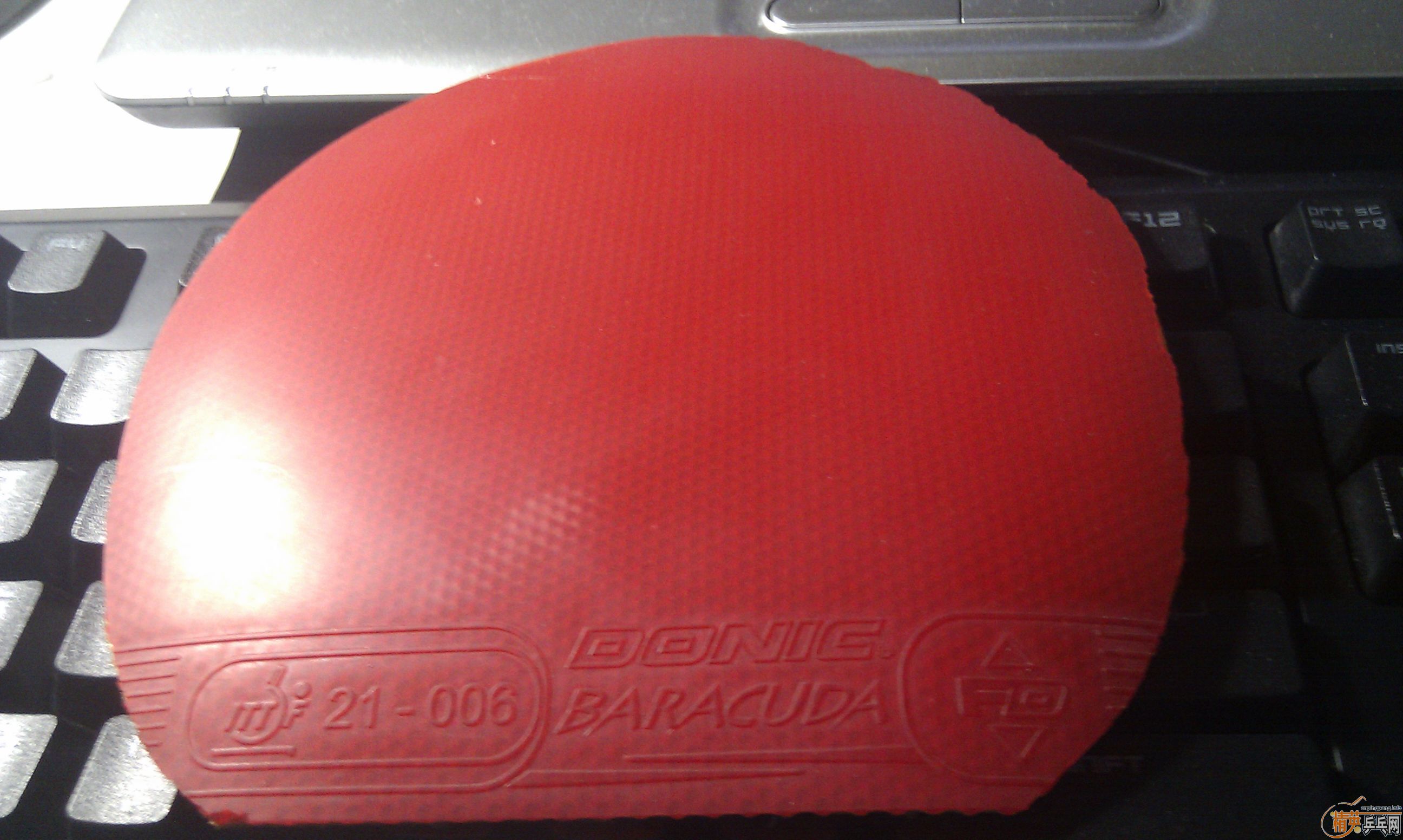 �����ۡ���Ƥ���ɣ�������flextra��JO�ȣ���֧����������