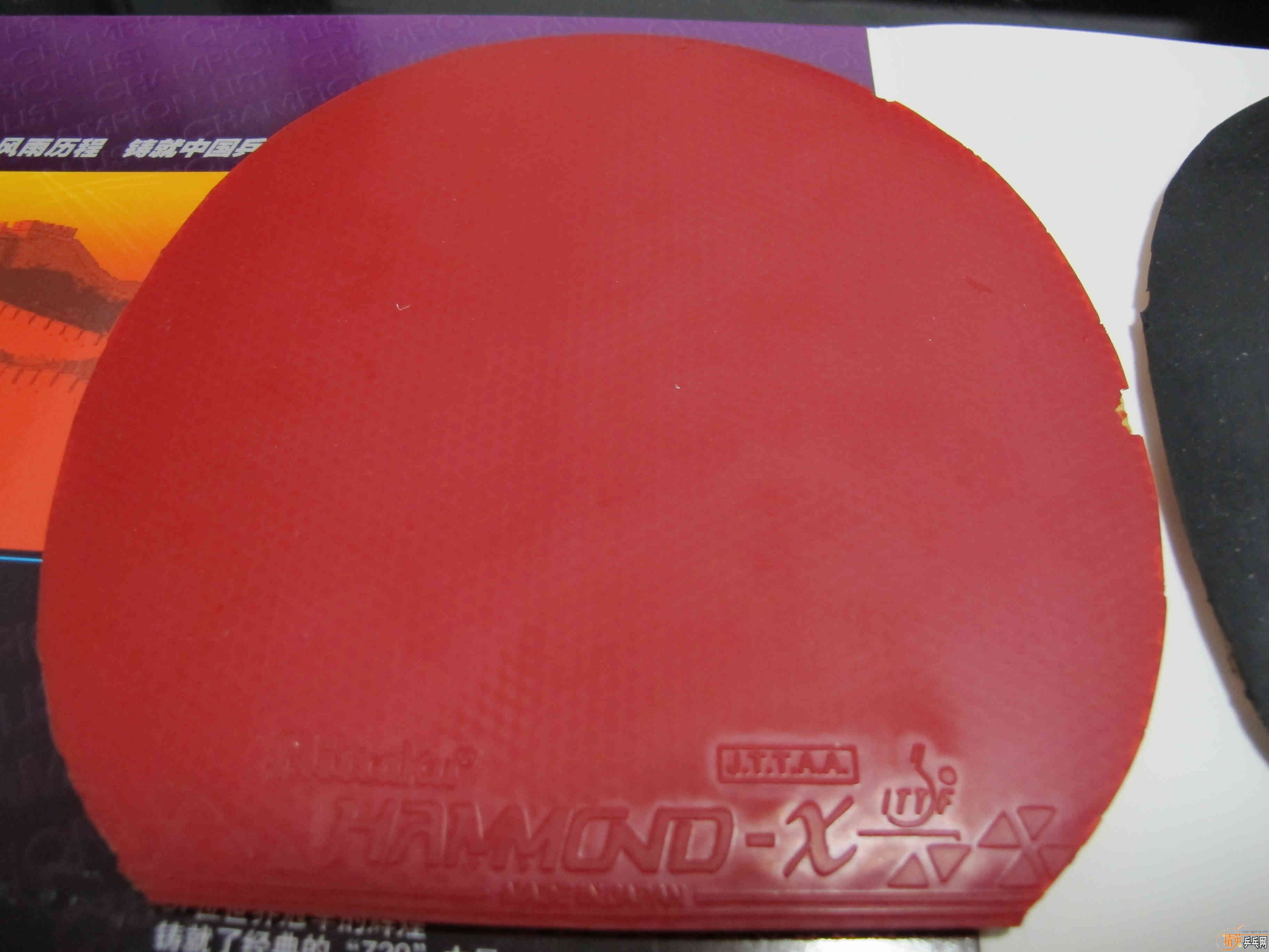 �����׽������