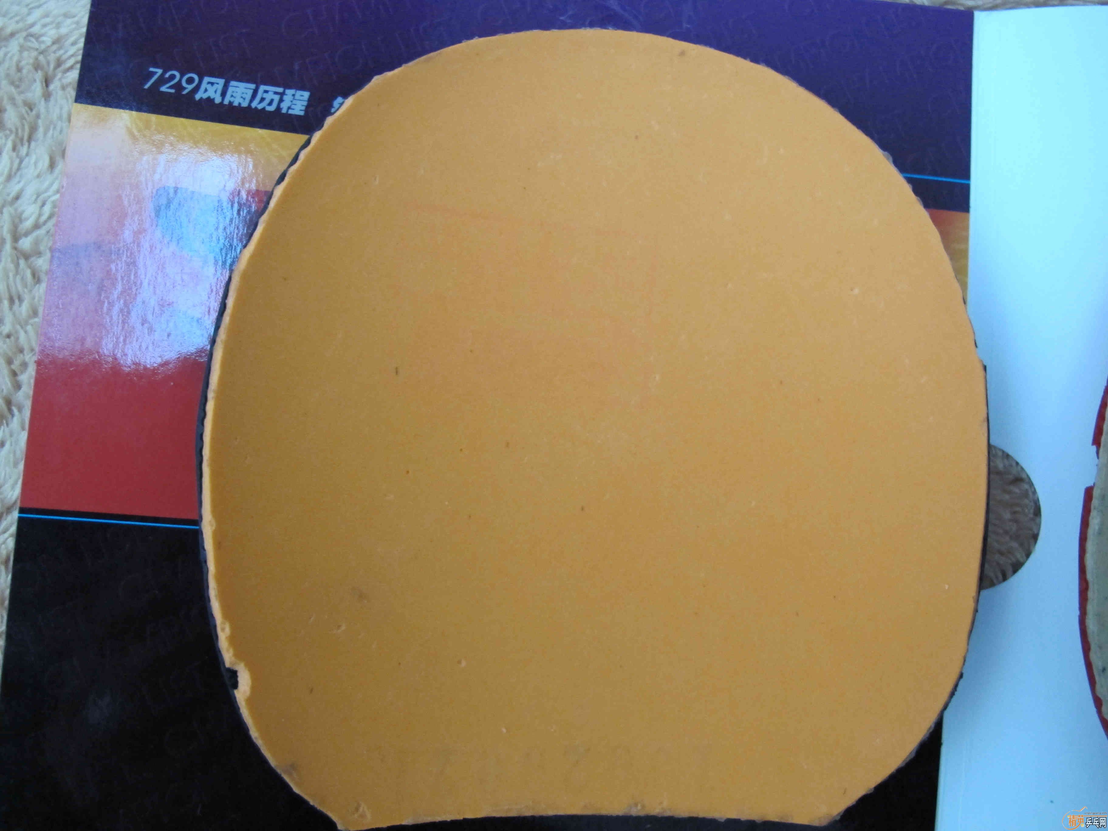 �����׽������