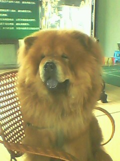 [����]�����7P-2A.CARBON650Ԫ