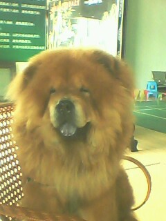 [����]�����7P-2A.CARBON650Ԫ