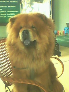 [����]�����7P-2A.CARBON650Ԫ