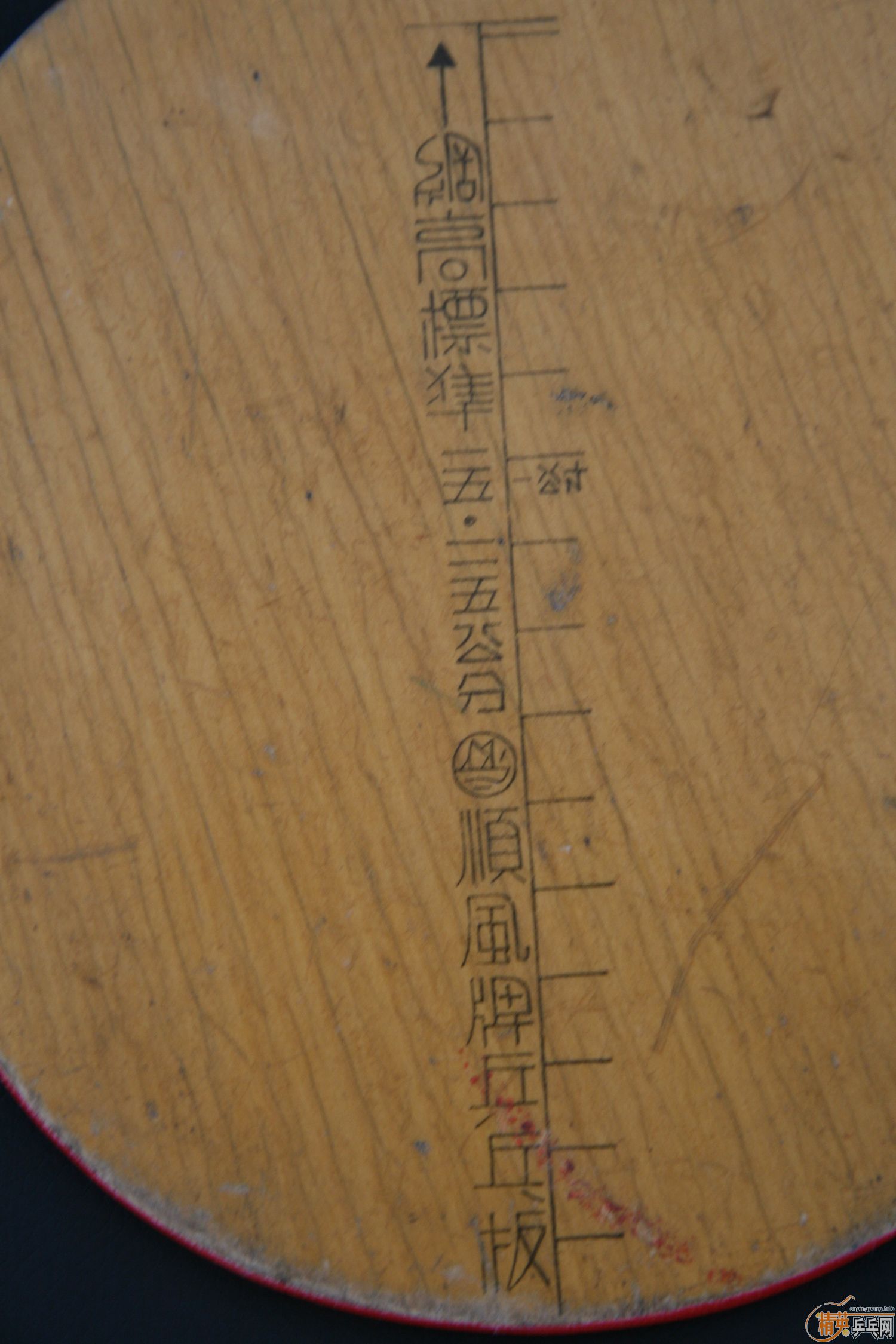 ��˳�磬�л���ڵ���ϵ��QQ��972246107