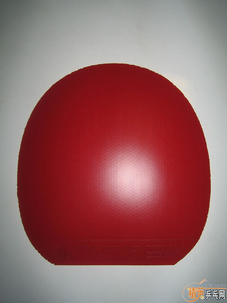 NITTAKU �׸��� & STIGA INNOVA��һŵ�����ǳ���棩