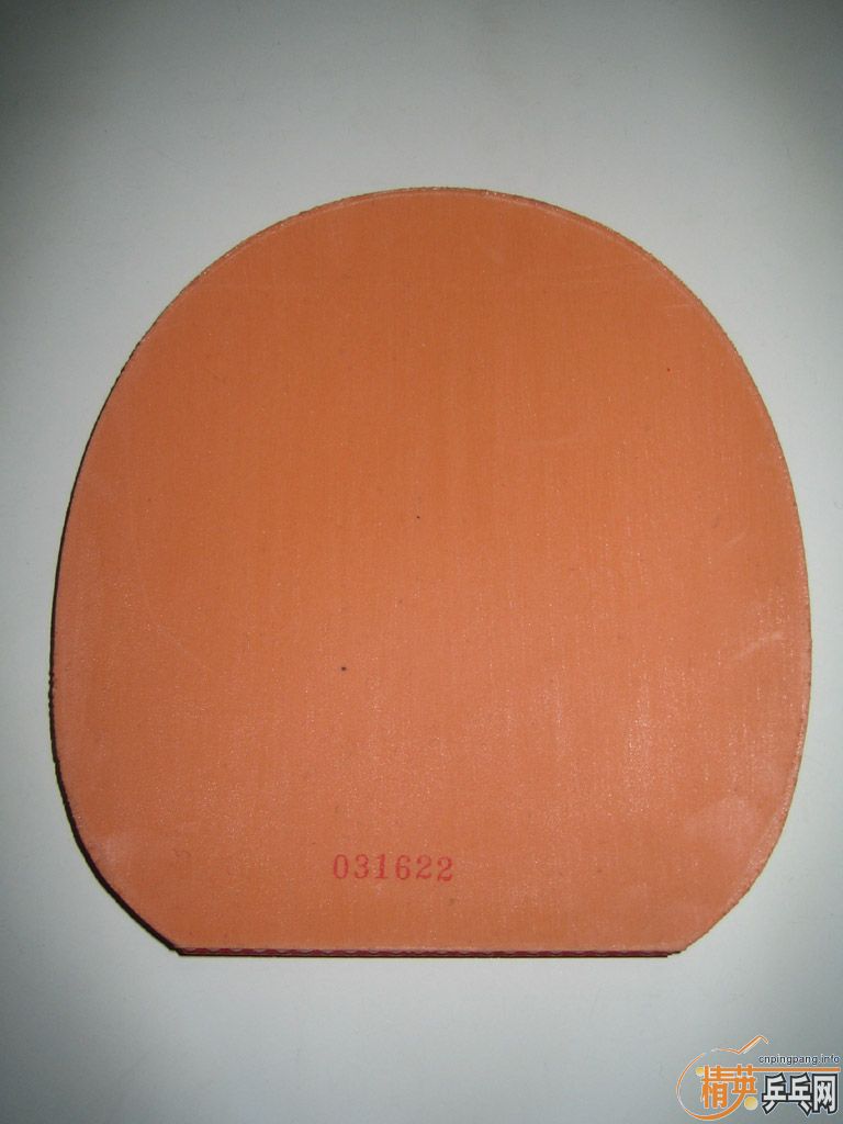 NITTAKU �׸��� & STIGA INNOVA��һŵ�����ǳ���棩