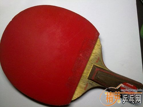 ��ͼ���ͼ۳�һ��9����˹�ٿ�CL��Clipper Wood��������ʹ�õװ�