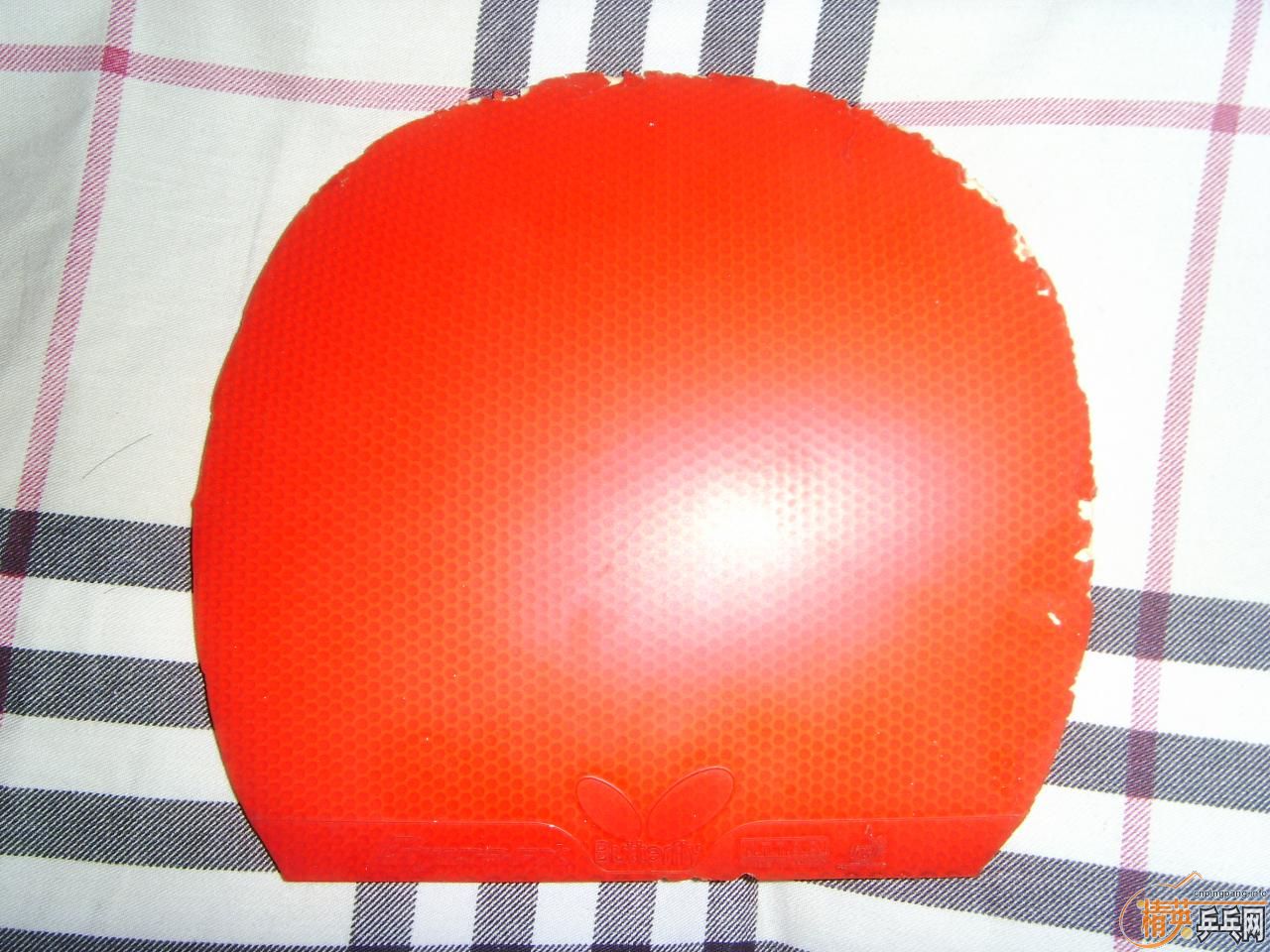 �������³����FX