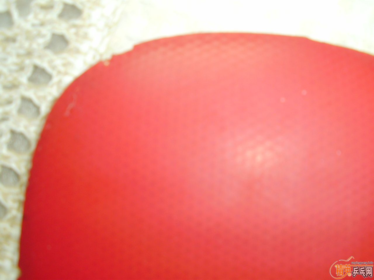 ����ֱ����470