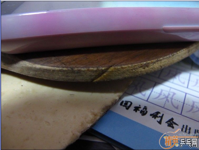 ������YEO�����SP FX���������450��