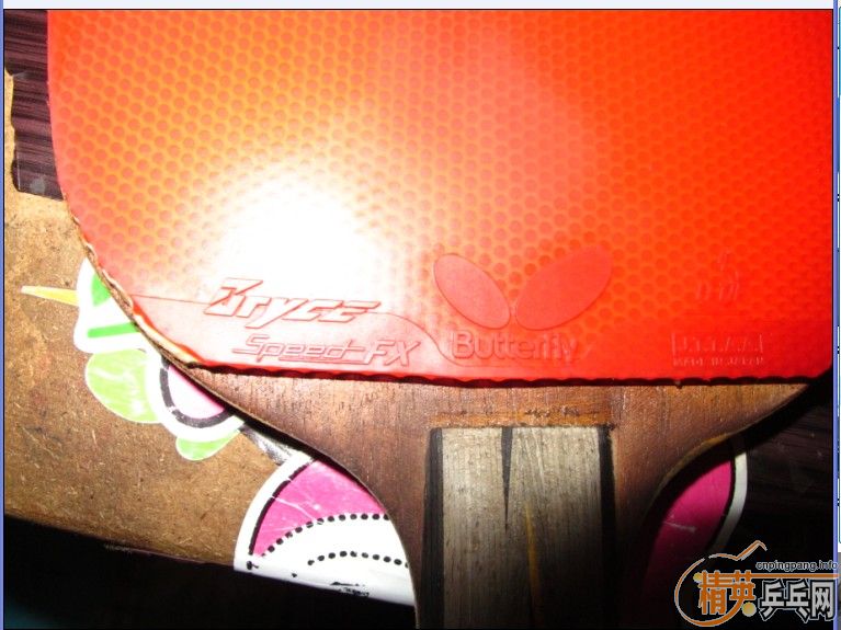 ������YEO�����SP FX���������450��