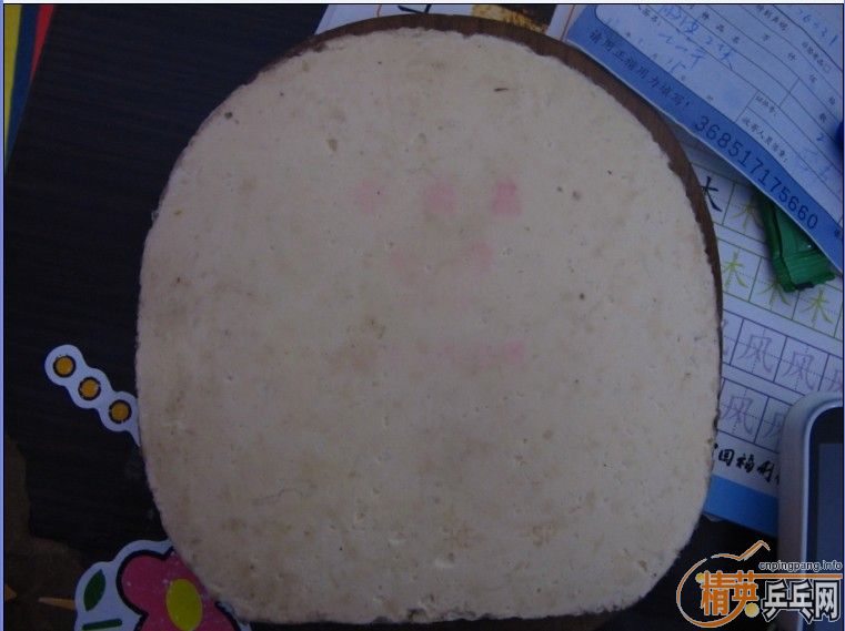 ������YEO�����SP FX���������450��