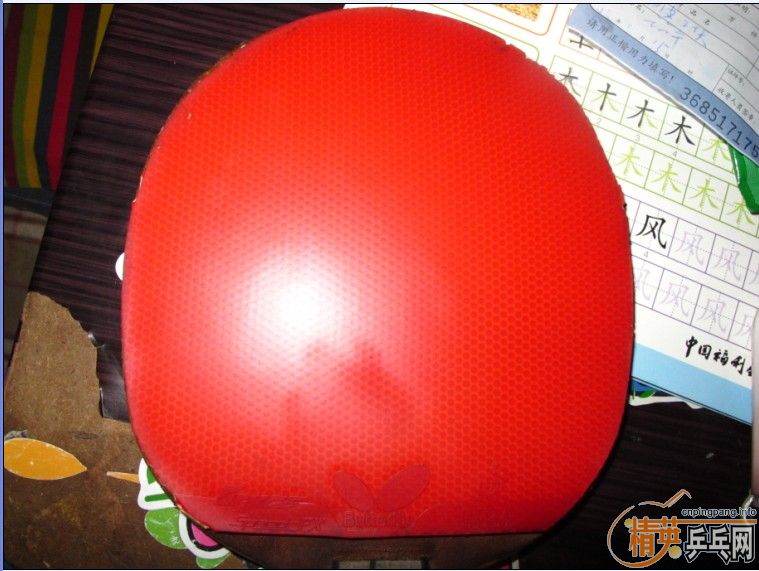 ������YEO�����SP FX���������450��