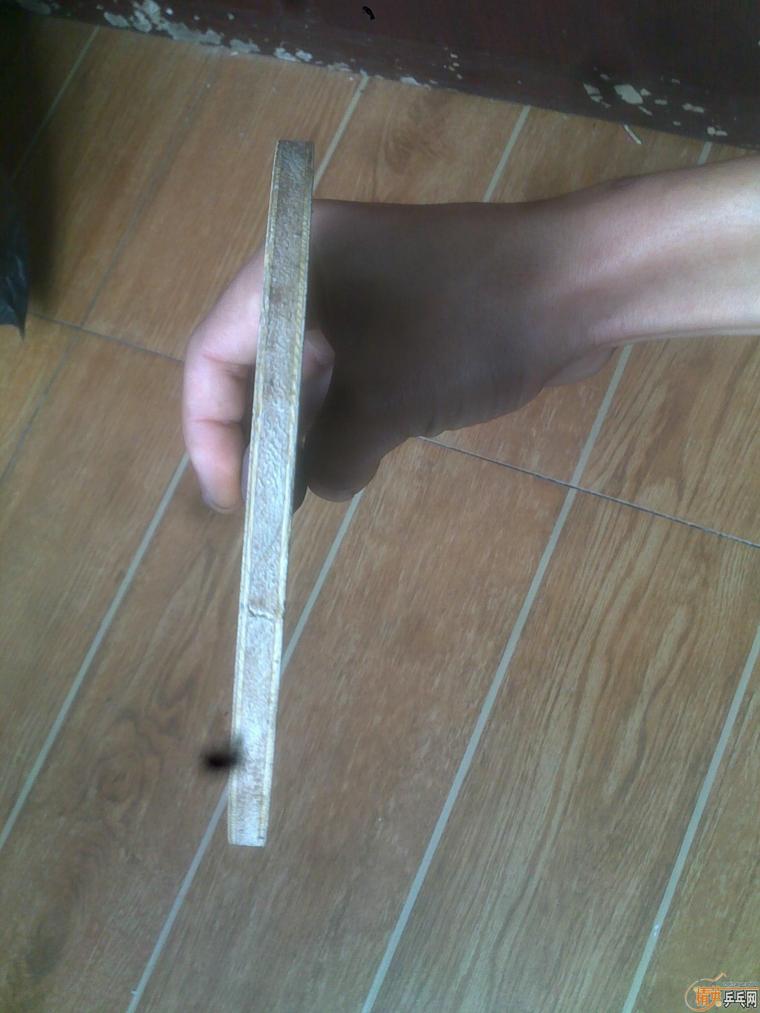 ��ʡѵ���ӣ�420��QQ799914079