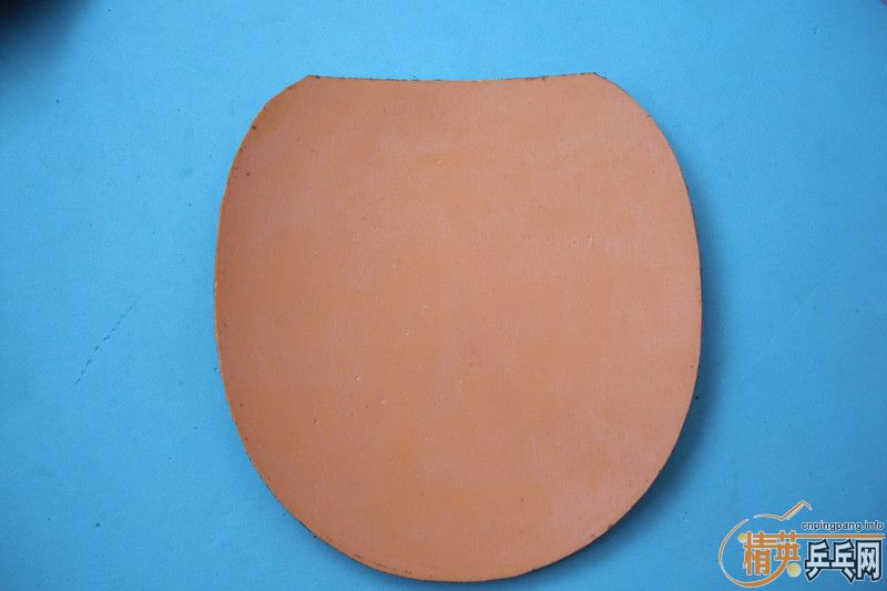 ����ʡ���տ�NEO����