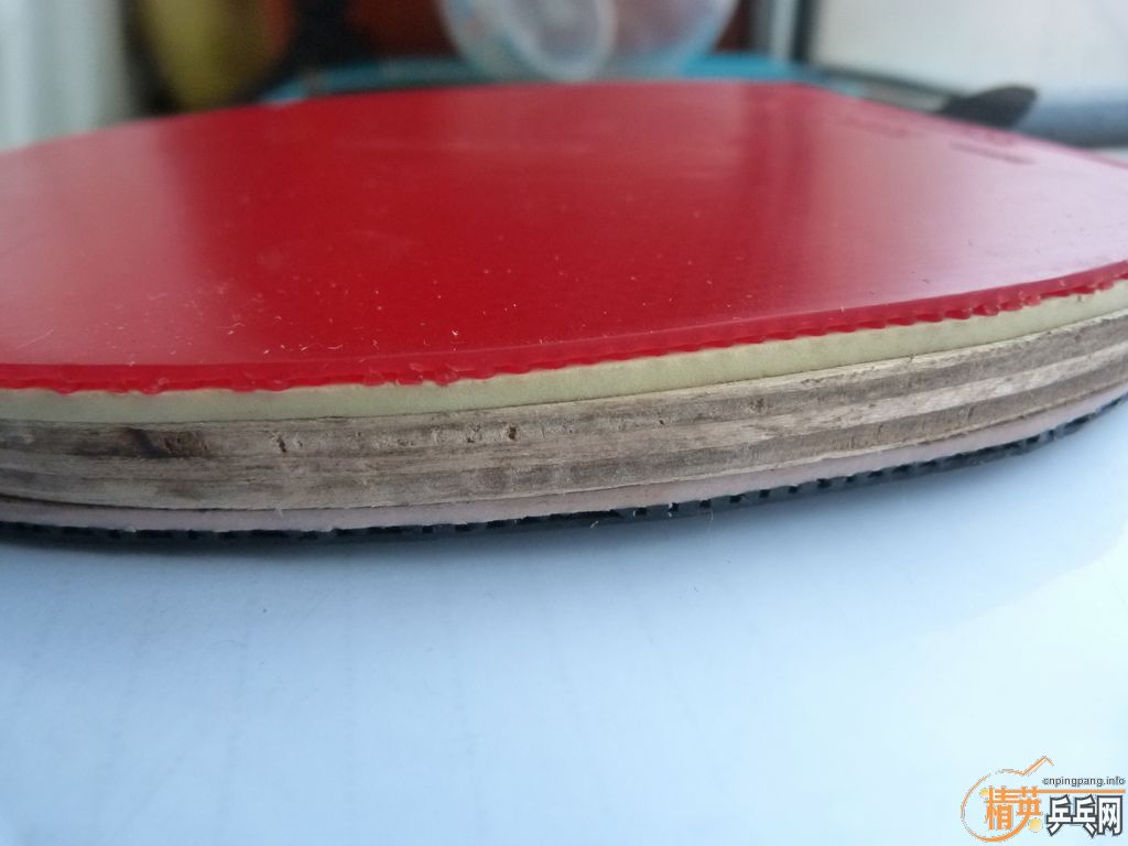 ͦCarbon Fibre FL  ֧֪ļãcj800*2ʮ