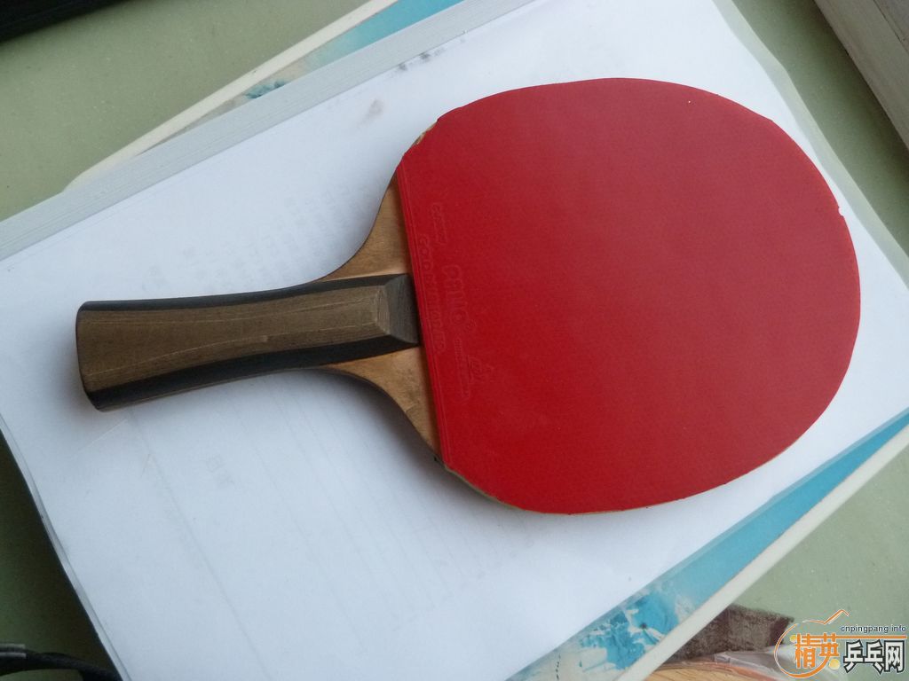ͦCarbon Fibre FL  ֧֪ļãcj800*2ʮ
