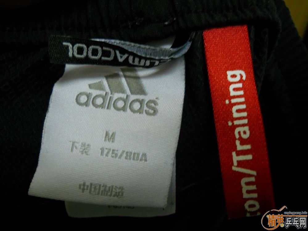 ���鲻�� �������ײ� ֻ������ ��������̯����