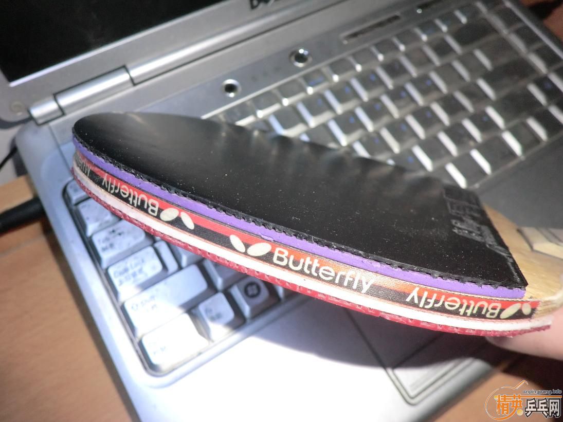 ���Ϻ�����񣬺��괫��105�����˼�����ɫ����ŨWAVE MEDALƹ����Ь������ƹ���򵥼����֧����