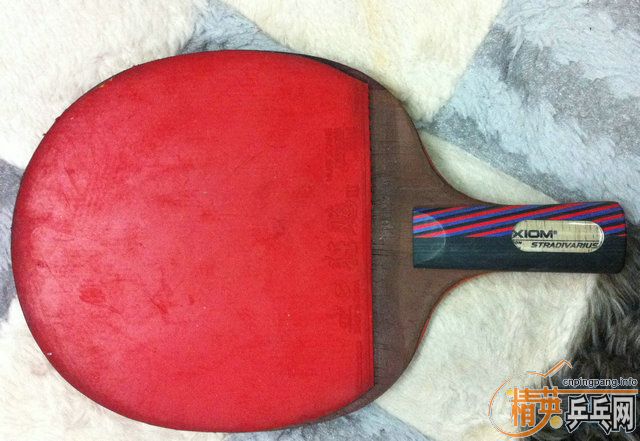 �ݱ�ƹ̳ ֱ�嶼���� �� ��֡�