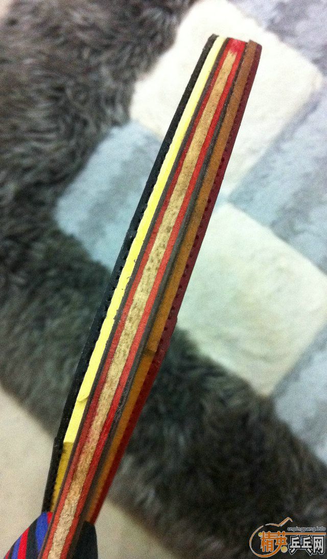 �ݱ�ƹ̳ ֱ�嶼���� �� ��֡�