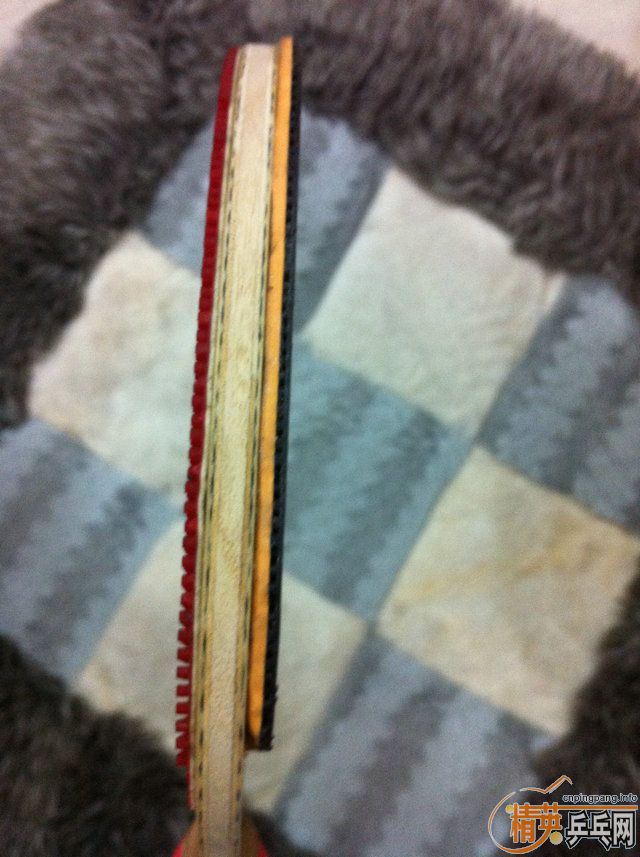 �ݱ�ƹ̳ ֱ�嶼���� �� ��֡�