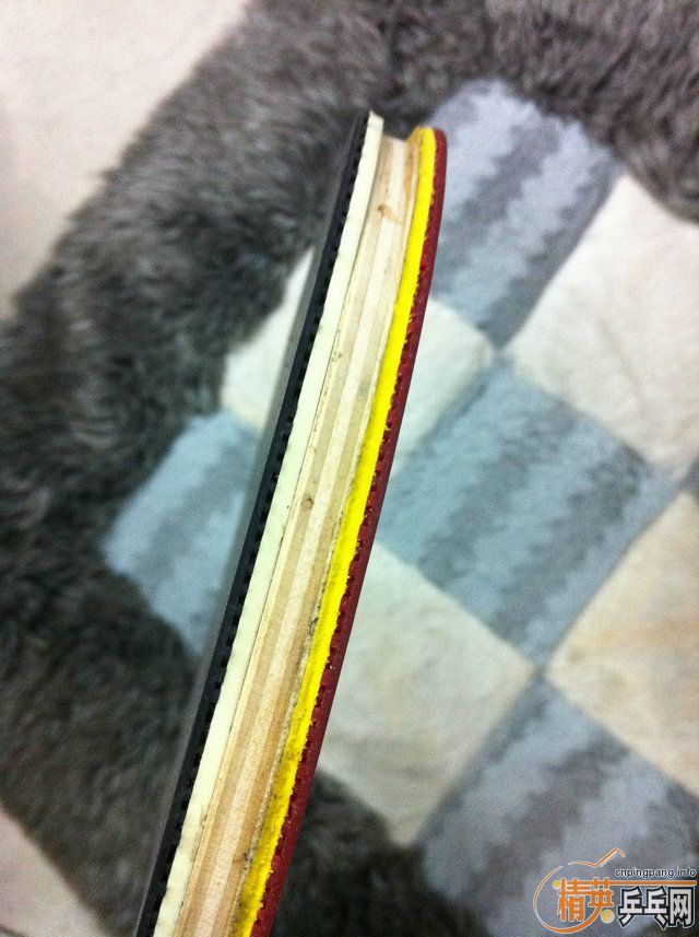 �ݱ�ƹ̳ ֱ�嶼���� �� ��֡�