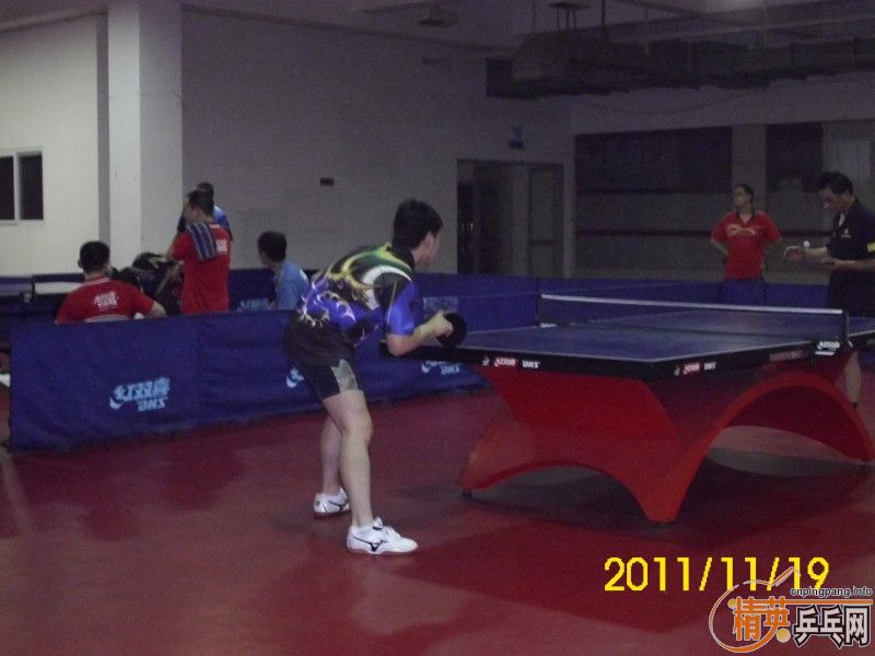 桿20111119վӢƹֲɽվܾɼ