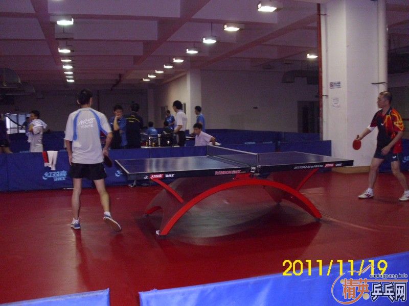 桿20111119վӢƹֲɽվܾɼ